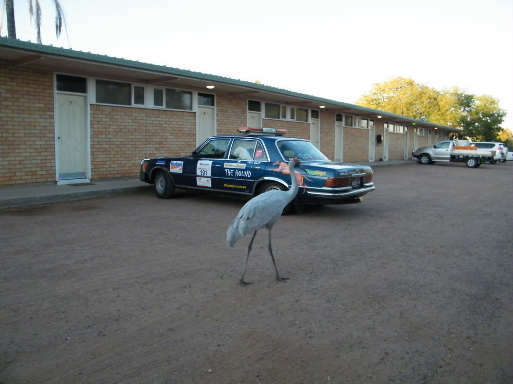 Jumbuck Motor Inn - Pool - Pet Friendly Section - King Beds Longreach Esterno foto